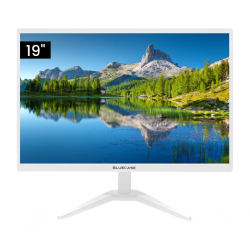 MONITOR 19