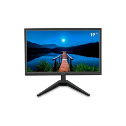 MONITOR 19