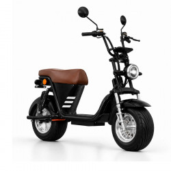 SCOOTER ELETRICA AUTROPELIDA 1000W X13 NEGRO CARBONO
